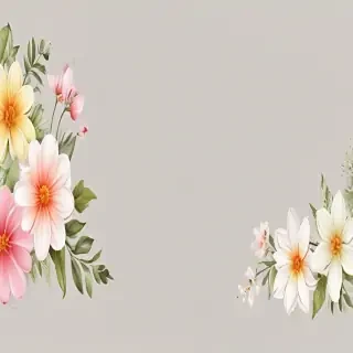 transparent flower border