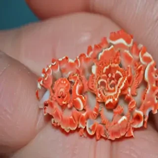 coral color