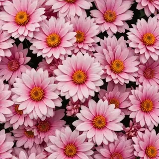 real flower png