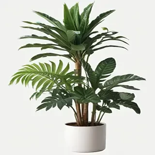 aesthetic plants png