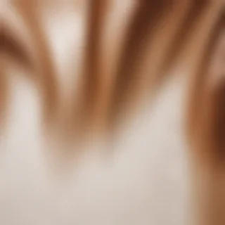 brown and white background