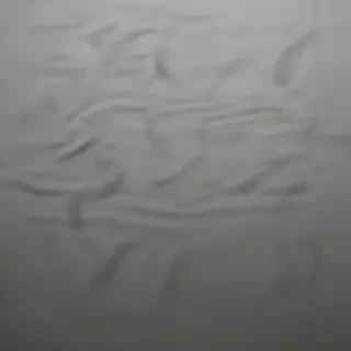 aesthetic grey background