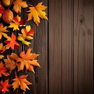 fall wallpaper for iphone