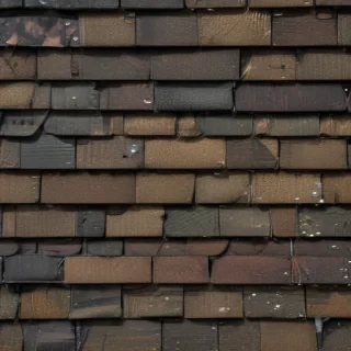 picture of shingles