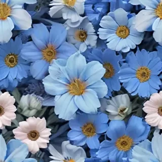 aesthetic blue flowers