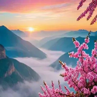 pretty backround