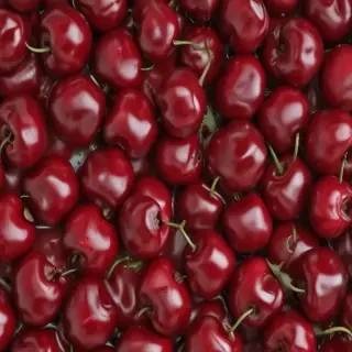 cherry png