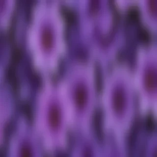 purple flowers background