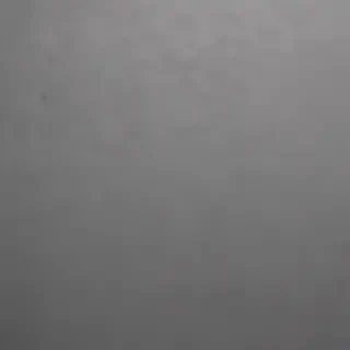 plain grey background