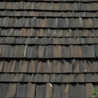 pictures of shingles