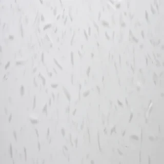 white background aesthetic