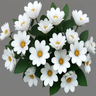 white flowers png