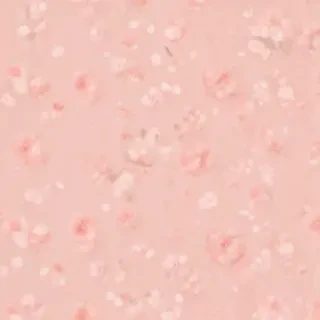 light peach background
