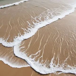 beach pictures
