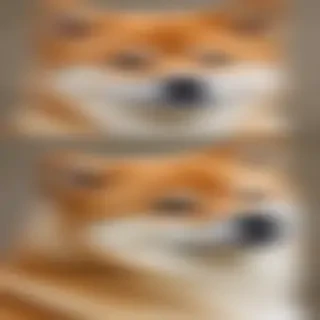 aussie shiba dog breed