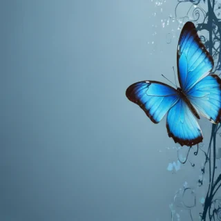blue butterfly background