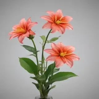 flores png