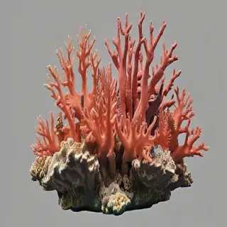 coral reef png