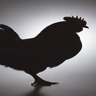 silhouette of a chicken