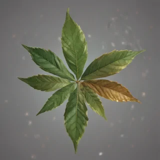 pot leaf png