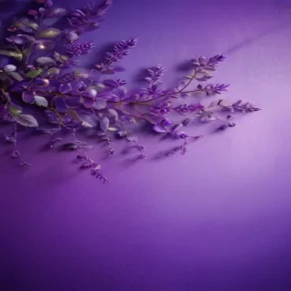 cute purple background