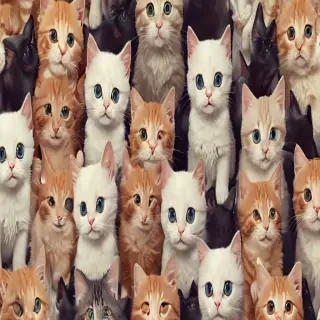 iphone wallpaper cats