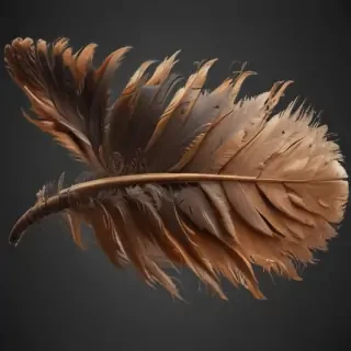 feather png