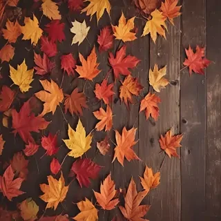 iphone backgrounds fall