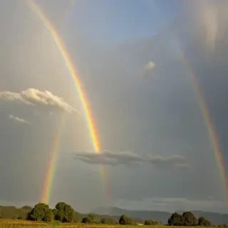 rainbow back round