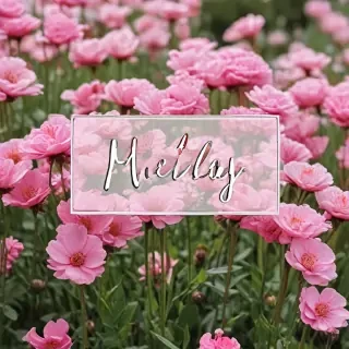 hello may images