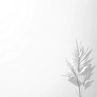 minimalist white aesthetic wallpaper