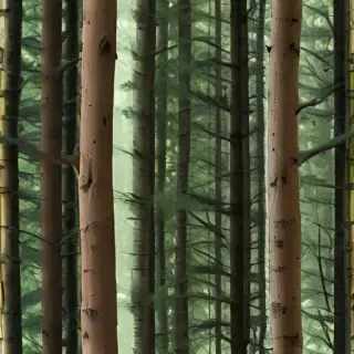 forest transparent background