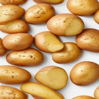 potato transparent background