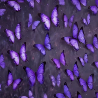 purple butterflies