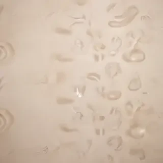 neutral background