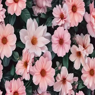 aesthetic flower background