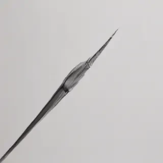 minimalist drawings