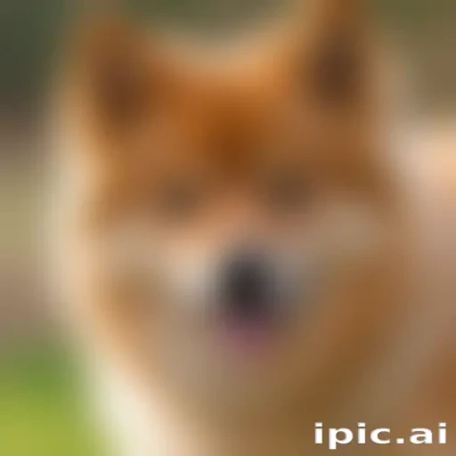 finnish spitz dog breed