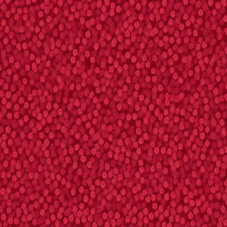 flower background red