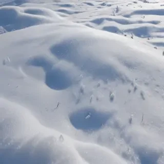 transparent snow