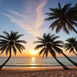 summer background iphone