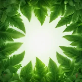 leaf background green