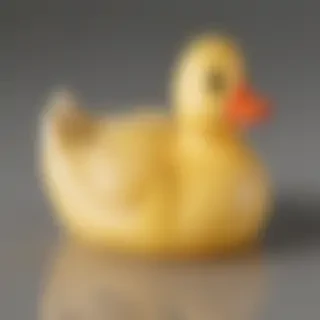 rubber duck png