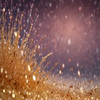 glitter background transparent