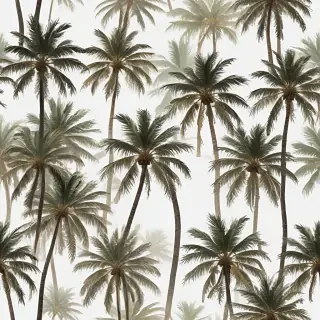 palm trees transparent