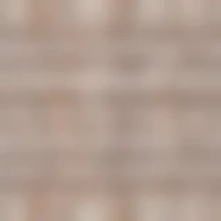 bed back ground