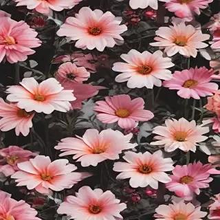 aesthetic backgrounds flowers