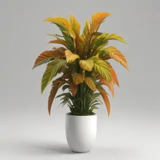 indoor plant png