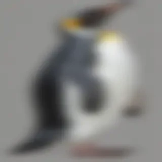 penguin png