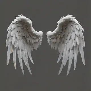 angel wings png transparent